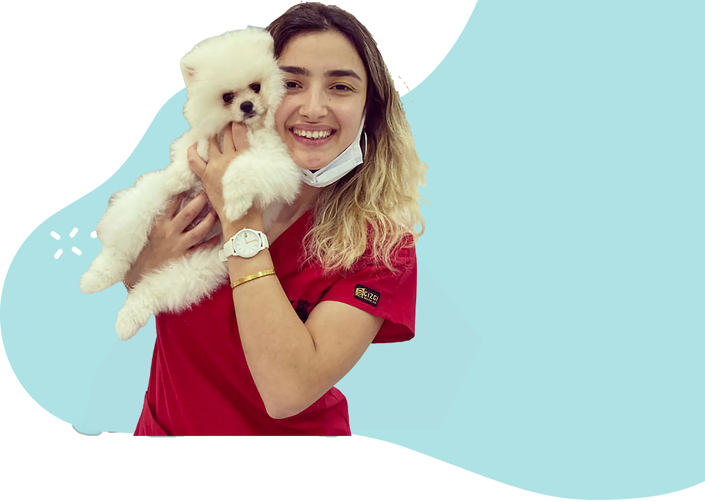 https://flyingpawsdoghouse.com/wp-content/uploads/2022/12/burcu-pet-otel-iletisim.png